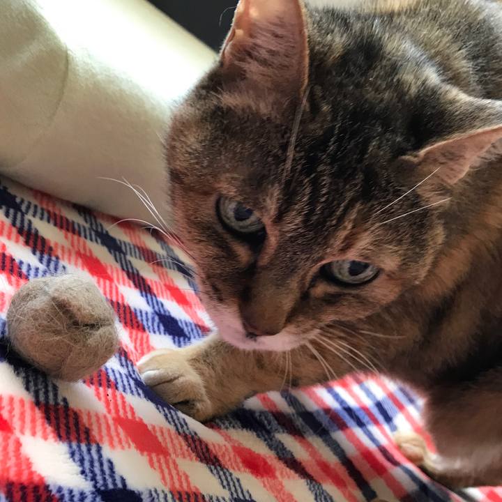 E897110d ca02 45ad b759 2a3543f74ce4 1525480425299