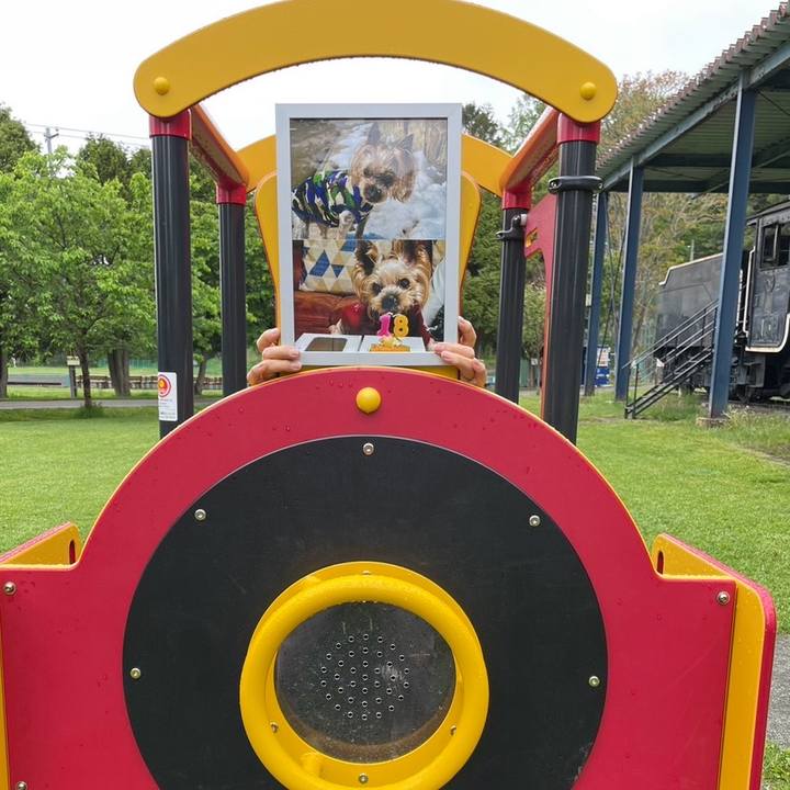 E8973fb3 7b7f 41df a744 4fe6e525b8a2 1716804622471