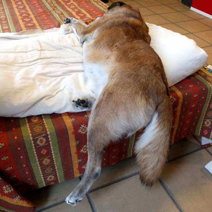 E8974a3c 4554 4fce b54c 2b3a63efa629 1520419798832