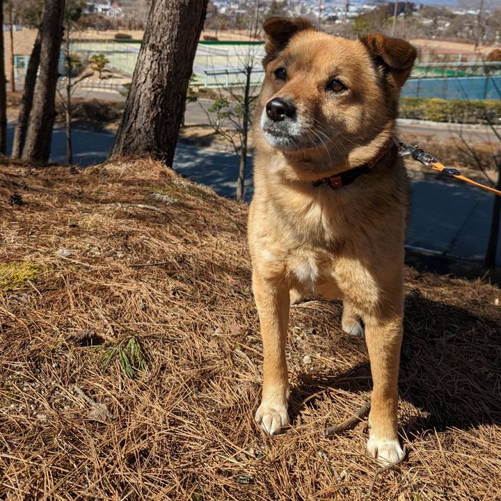 E8975b0c ca23 4843 a432 a9904a8d5883 1647158239573