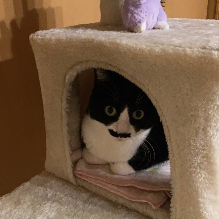 E89781ab afcf 489f accc 7402ab5f85e4 1738151013901