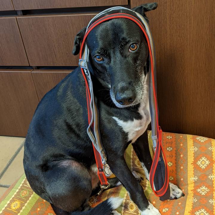 E897aa3c ec99 4337 99d5 cda2e1ab6417 1687605114742