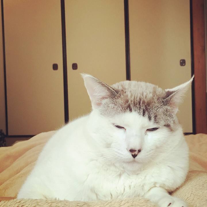 E897f702 2a40 4e47 a1c2 1f86c57d4020 1552364198397