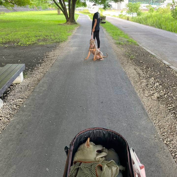 E8980900 da29 4ff4 87e3 26120a3f795f 1656506337429