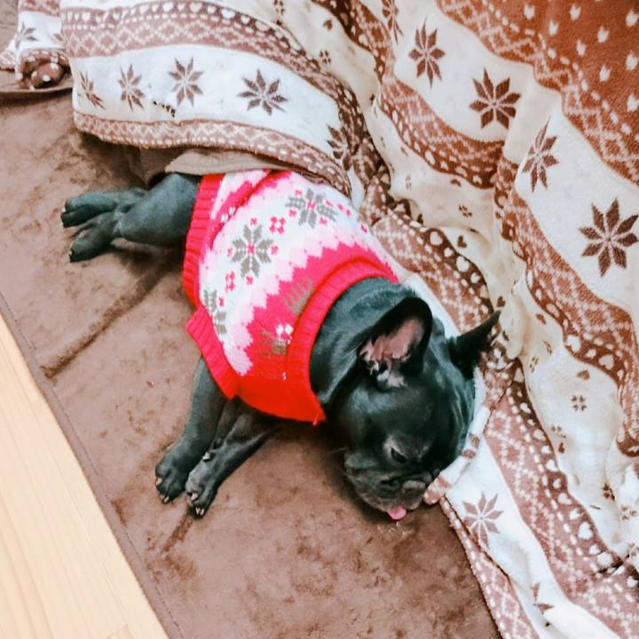 E89827f2 70b3 4c8c b92c 1bf134f8175e 1520862027253