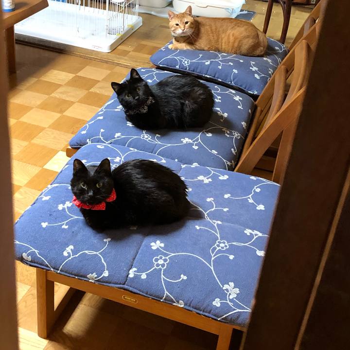 E898432f 9aa6 4c65 904e 312d23bbfd61 1555414517350