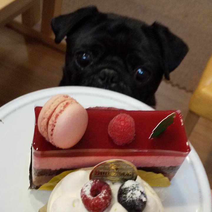 E89847f5 757a 4e87 96a3 cd24a21e6ab7 1577280838764