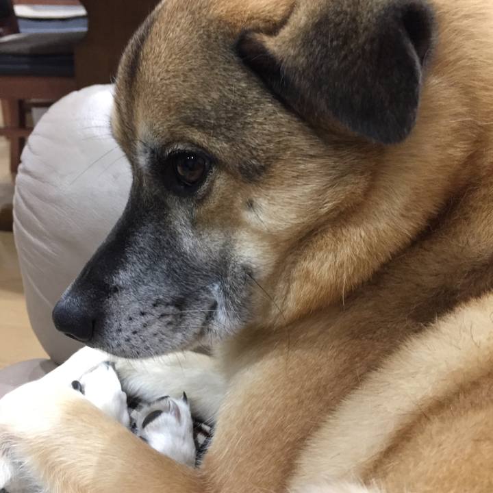 E898e032 52ac 498c 9b08 396e906a4e0b 1516014352675