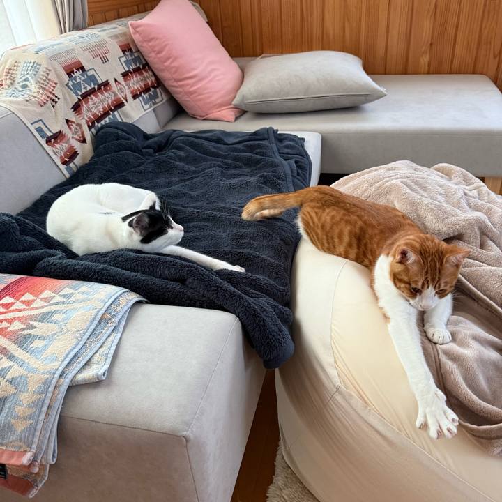 E89908c5 6dca 4237 a765 2dc2ce599240 1765408731710