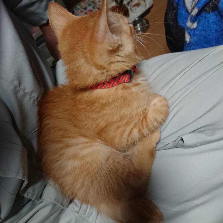 E89962be d146 4eb8 af49 1034730d1485 1631006856217