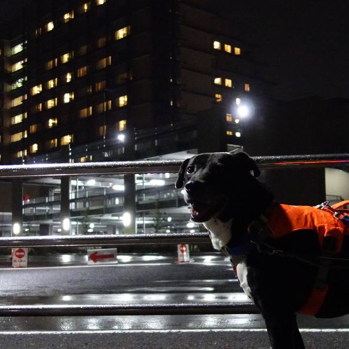 E8998107 4e7c 4428 ad8e 2cd41602bb19 1713698150593