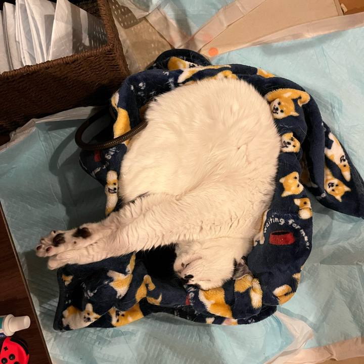 E8999ff3 a725 4521 852b f30aed466fe7 1772031960739