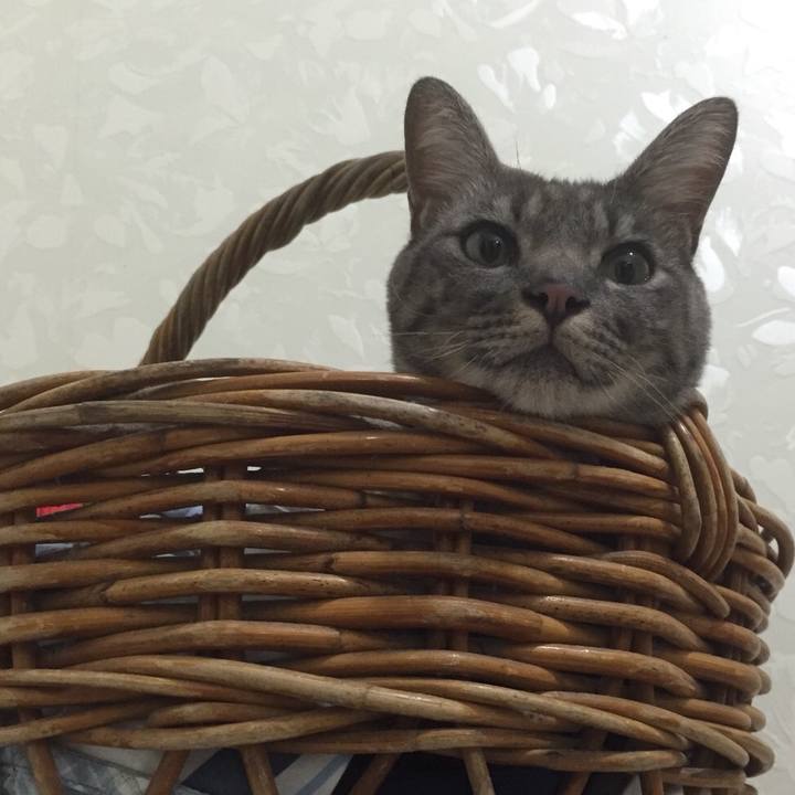 E899b0ce 20fe 49a0 9c39 cb425eafec2c 1540429067762