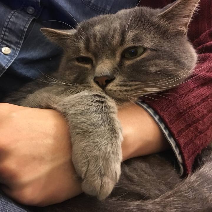 E899f610 d0bc 4278 a3b3 d656a9dd8d21 1510354790607