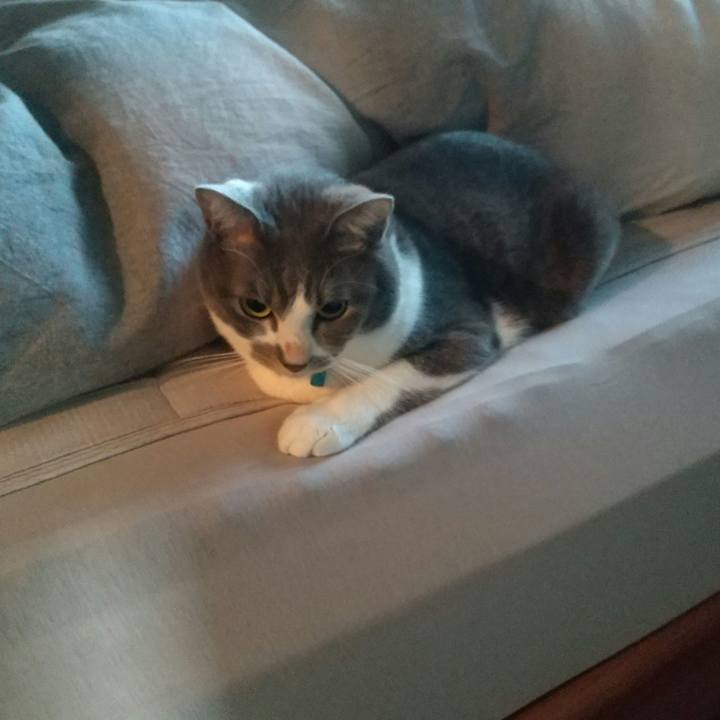 E89a0e6d 6634 4ce8 b141 1570fe713ea4 1636582761394