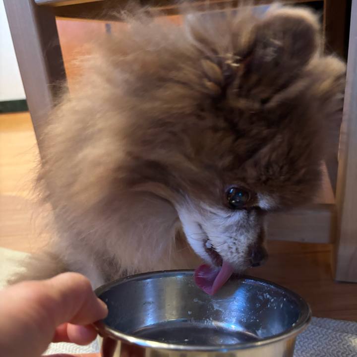 E89a4ef6 9a82 4866 864a 60b1e3455176 1769806291515