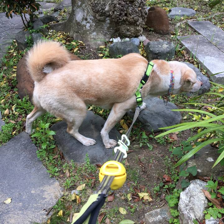 E89a529e 4140 494f b0be 91ca2f0ea933 1524784265878