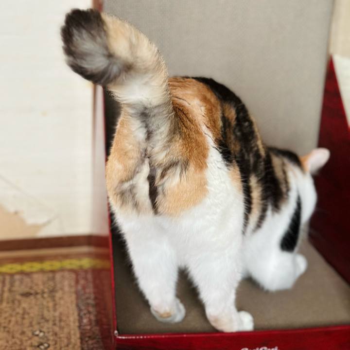 E89a5467 cb5e 4497 af47 5cf5a47b8a45 1711335156670