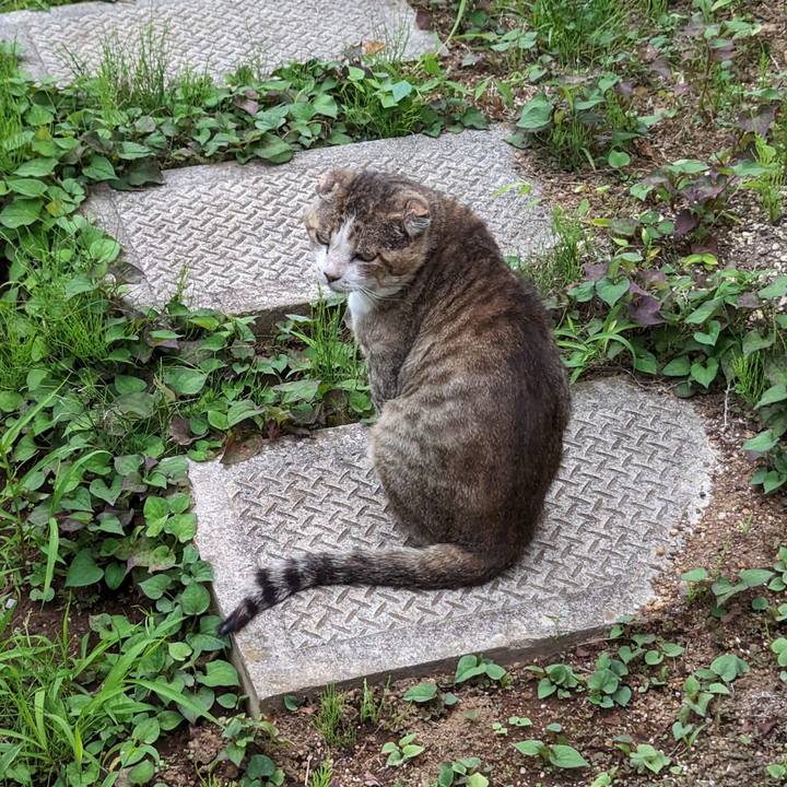 E89a556b 8345 4fd5 bd8b fa98fd962aec 1687262151742