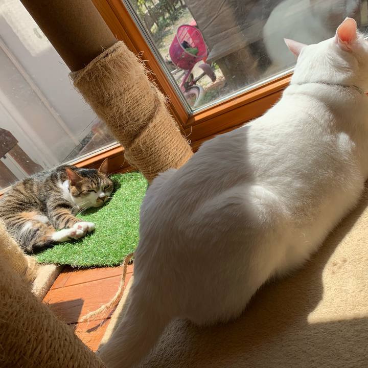 E89a9354 eab9 490e a3de b22433f19077 1555812936976