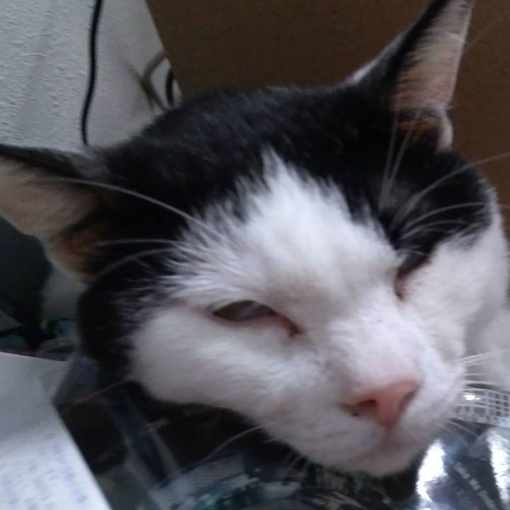 E89ac4d2 5267 4f32 8ce2 6c3f791a5402 1534070518543