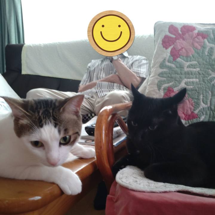 E89ac571 c981 4c74 9fa3 5124bb14d30c 1690017223002