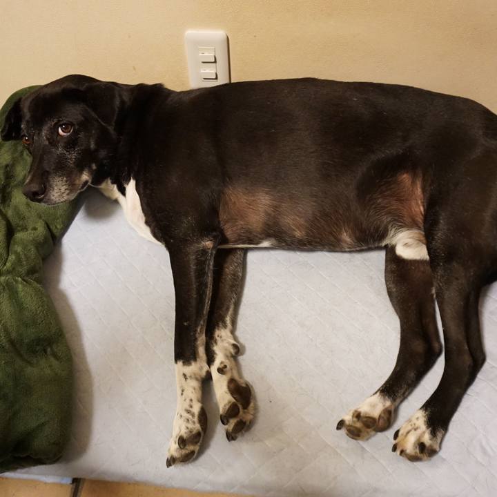 E89accfe e510 489c a2cd 6dbc23cd2045 1756637834879