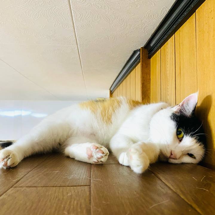 E89b3921 bd8b 442f aac1 a1f91e38dfd4 1657144681853