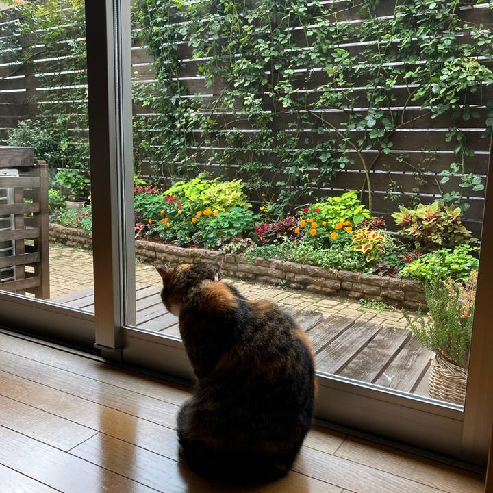 E89b9efd 0fd8 4f3c b582 cd871ec4bfbd 1759455362812