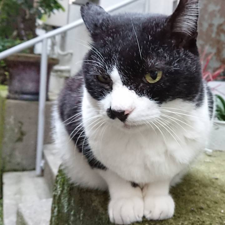 E89bd8d0 945d 48b3 811c 08354fc869c8 1666079853359