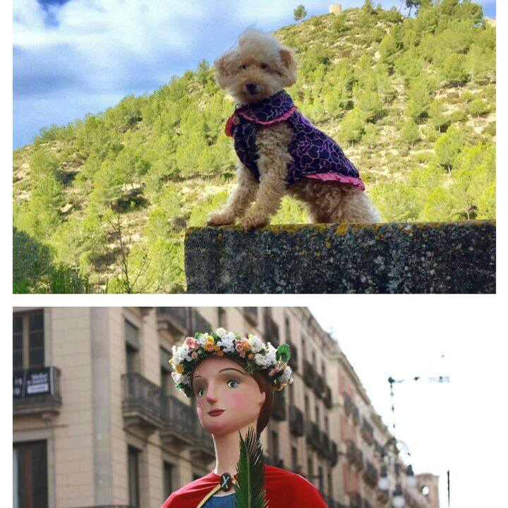 E89be2e3 580d 4c9d 9afa 6dcbc856ca7e 1550087957118