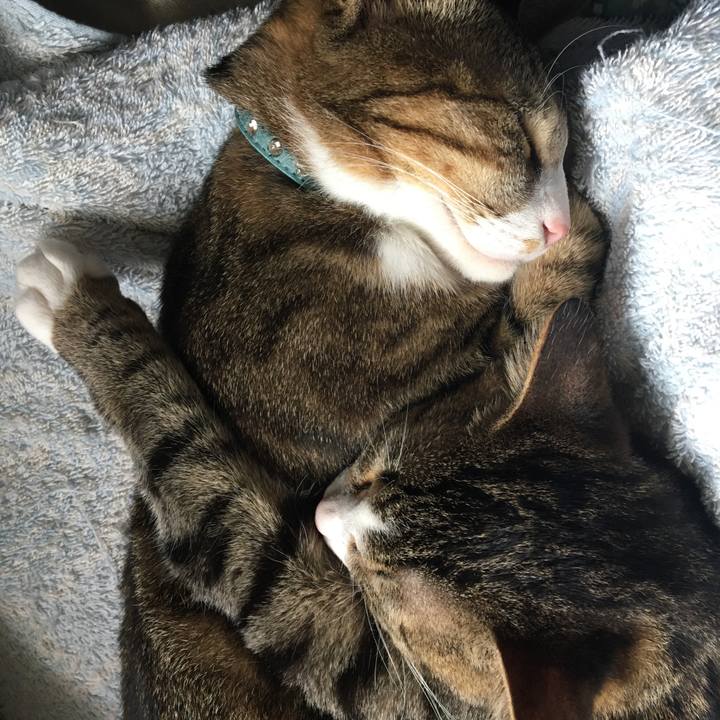 E89bef9f d961 40d6 9e14 5b2a0e8e92c5 1664974229368