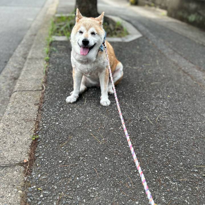 E89bfd29 c30a 4c12 9c8c 45d1ee240397 1751421804820