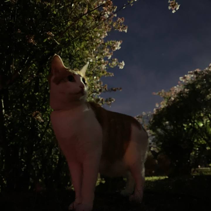 E89c3a02 6948 42e3 b48f 52d1f42076aa 1569489074176