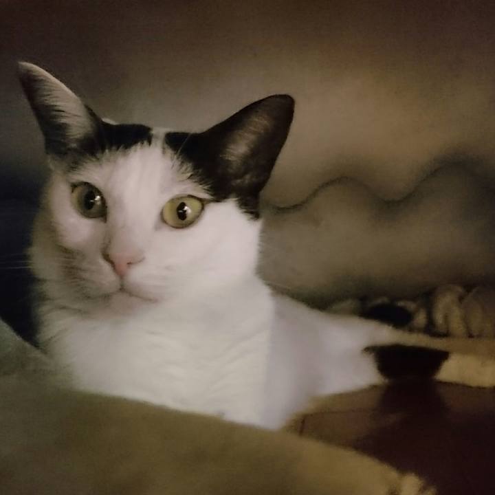 E89c4cd5 ae5a 4056 a77d 62dd16279f3c 1512211213311