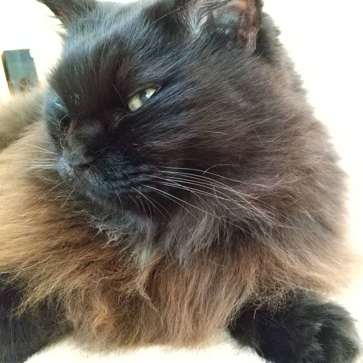 E89c9829 cd2e 4127 a2de 256300f31e04 1636070581350