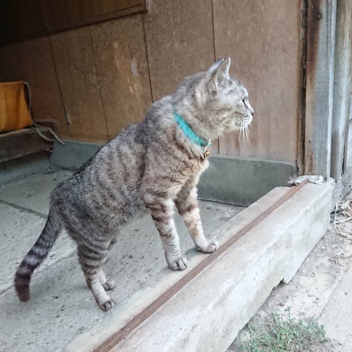 E89cb685 68d3 4b70 8e1c 043689e06df6 1566637665846