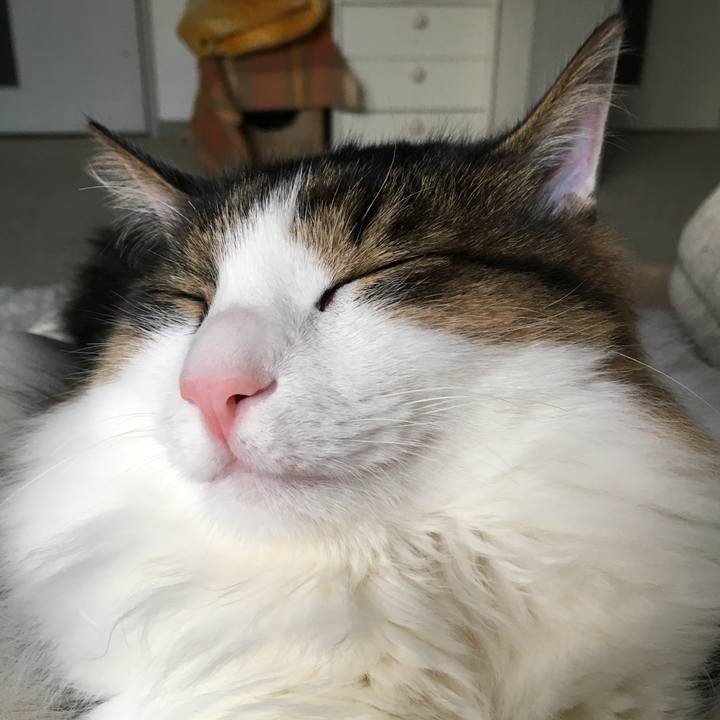 E89cb789 1a80 48f9 824d 6eb639534801 1512691254523