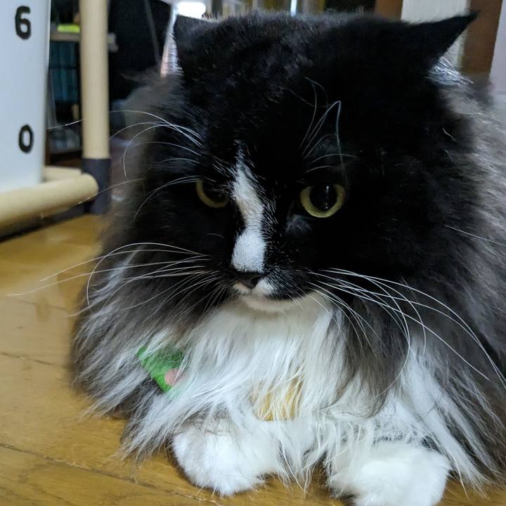 E89cc18d 779c 4c3b 9599 8dd267e7d650 1694218817390