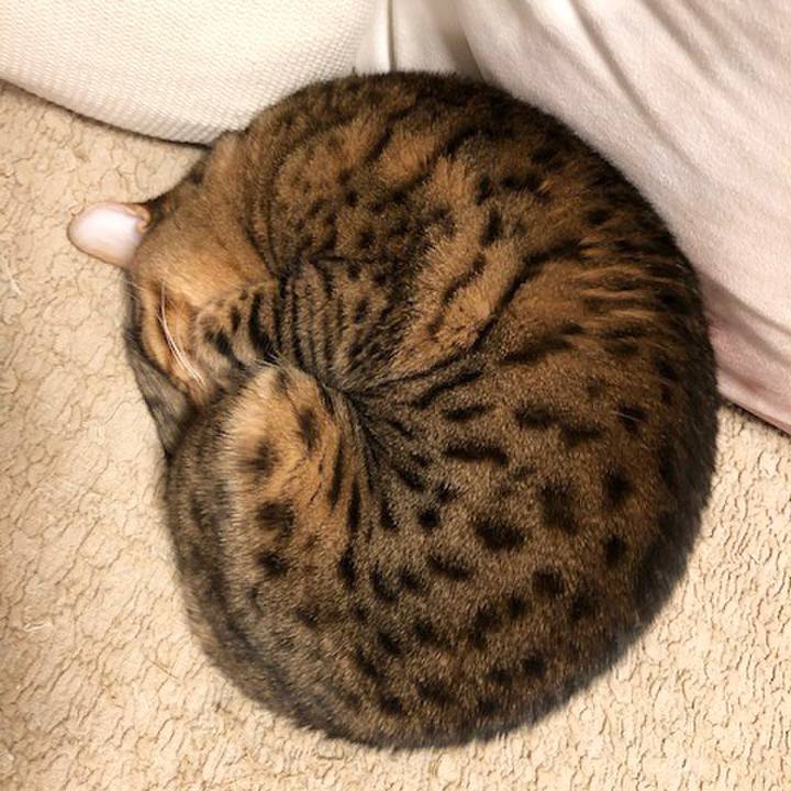 E89cdb9f 34ec 480f 964e a919e21c1648 1576710991089