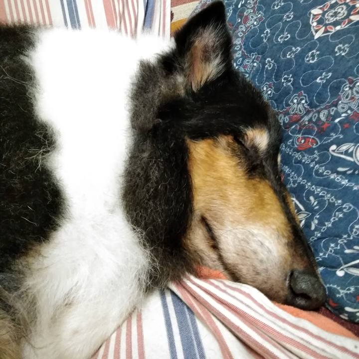 E89cf0b6 1260 4372 b2f2 3c9baaae7c0c 1537708732894