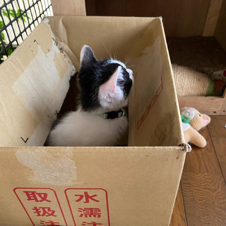 E89d05e0 9f8e 4434 8050 eff28108de62 1654305402109