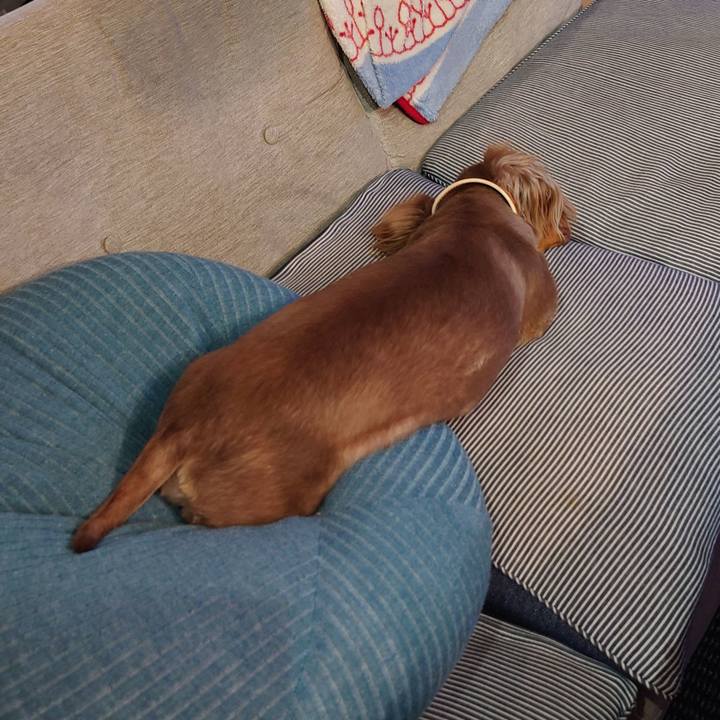 E89d32c4 c464 42b0 a5d7 799f72bc2e6a 1627458433512