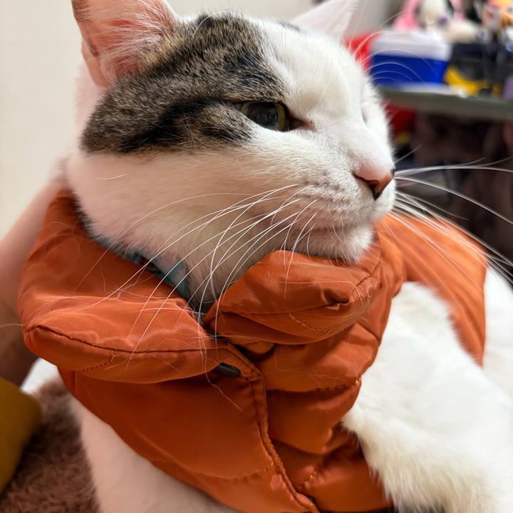 E89d5d6d 4068 4ecc 8c2f 2427693e12b0 1770747052568