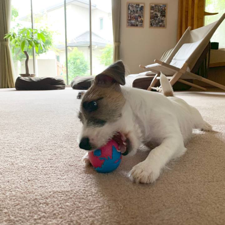 E89d6447 ad2c 4bca a878 9fdc0e274d04 1561697098532