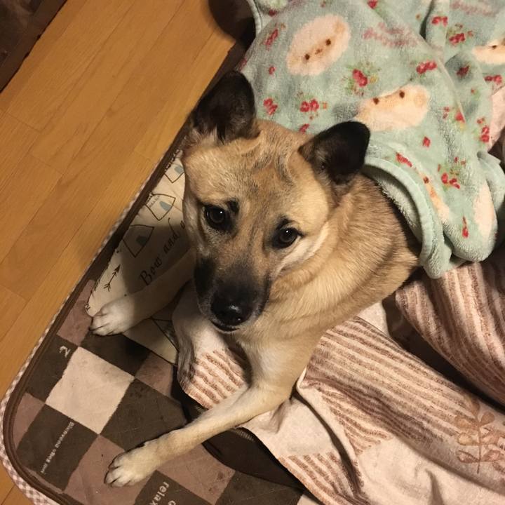 E89dad5b d847 4993 9c2a b8eaeddfceaa 1516365744722