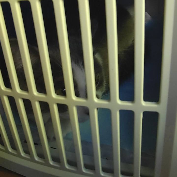 E89dc4fe e8b4 4c06 abc0 f3f037155e68 1572600253493