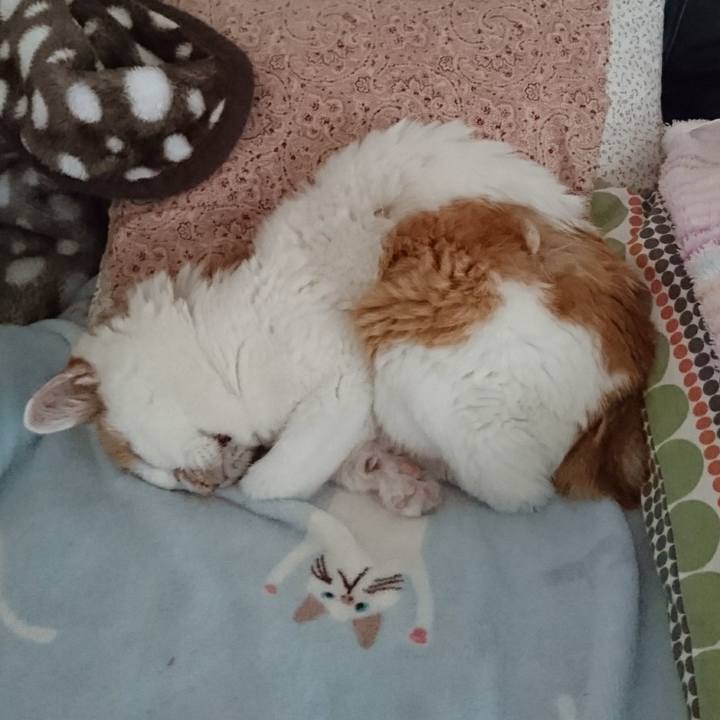 E89ddc58 2a29 4010 ae82 f2c48285caab 1600568750771