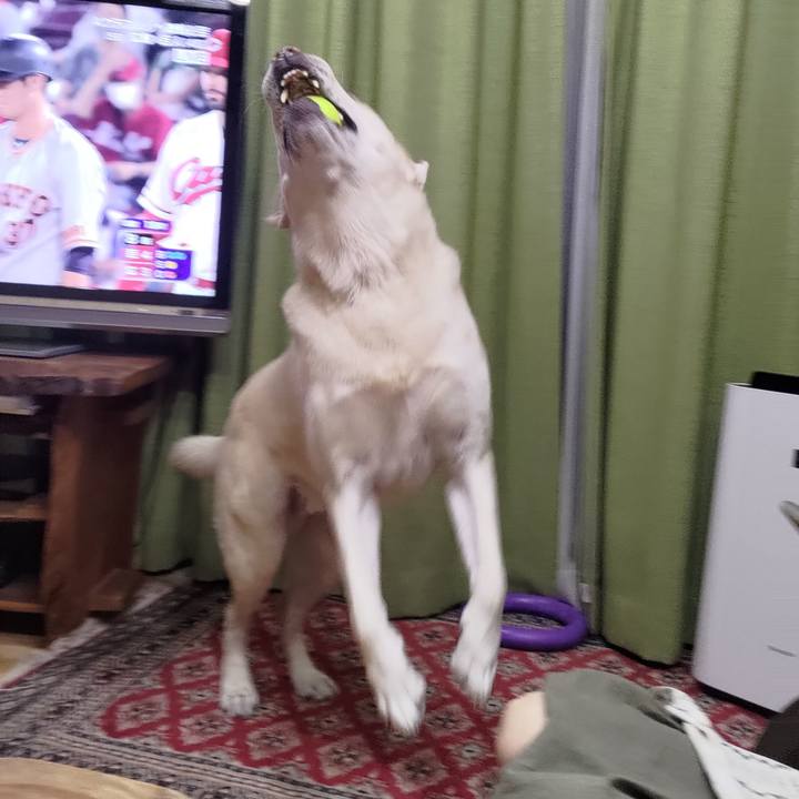 E89e43b0 566f 4516 957b 6bae9a22809c 1661530376725