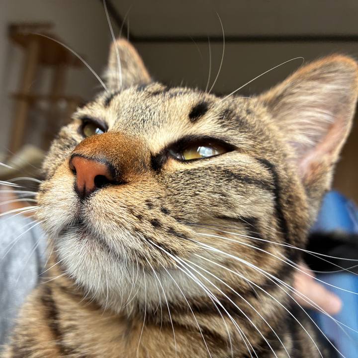 E89e736d 18ab 4c6c b8db 074debd78a8f 1747442662941